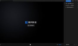 视频播放,精彩瞬间一网打尽